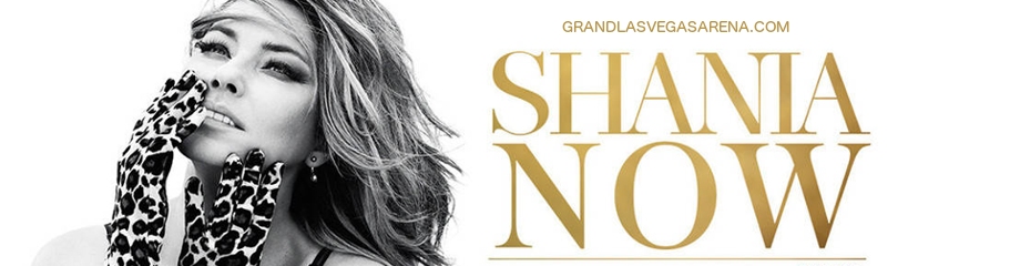 Shania Twain at MGM Grand Garden Arena